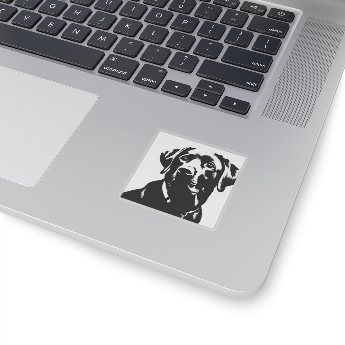 Nova Sticker