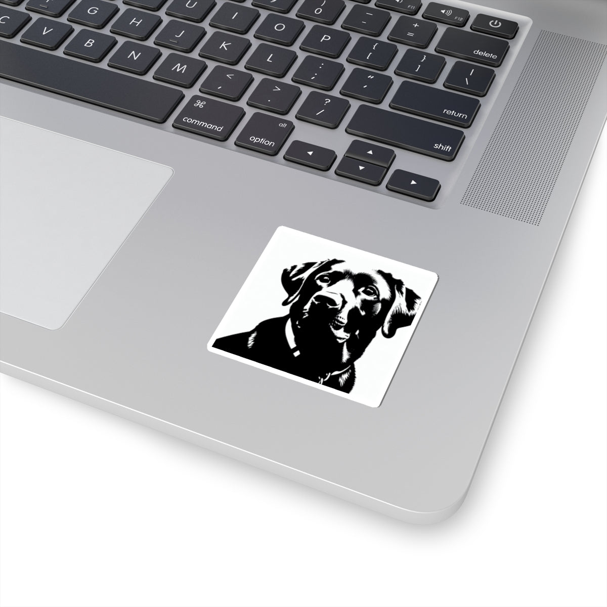 Nova Sticker